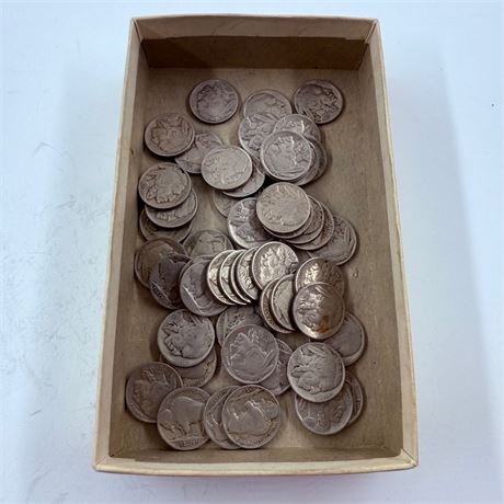 50 Unsearched Buffalo Nickels