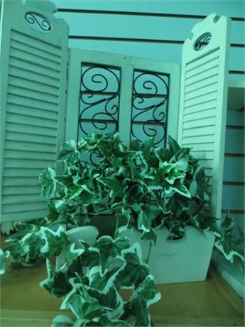 DECORATING SHUTTERS & PLANT