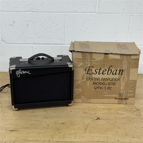 Esteban Guitar Amplifier