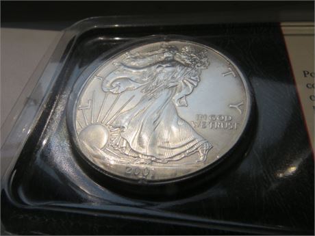 2001Silver American Eagle Dollar