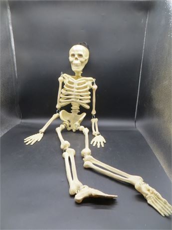 Skeleton