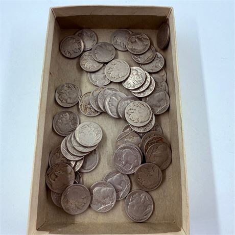 50 Unsearched Buffalo Nickels
