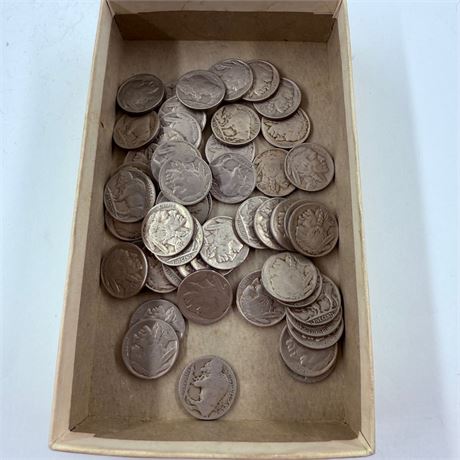 50 Unsearched Buffalo Nickels