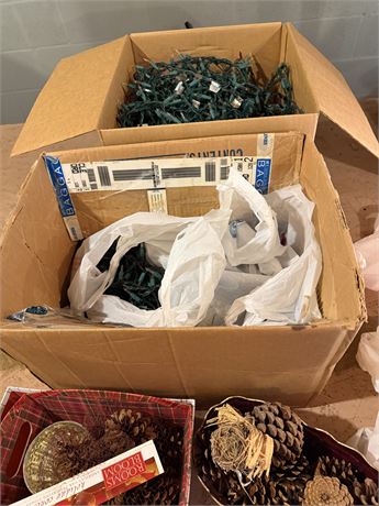 2 Big Boxes Lights & Pine Cones