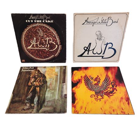 Vintage Vinyl Classic Rock Record Lot, 12"