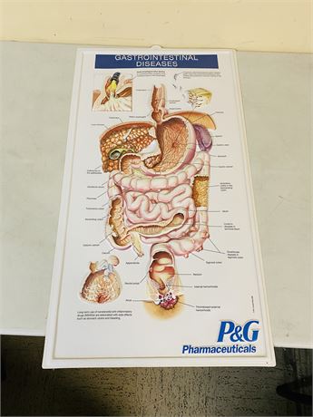P&G Doctor Office Anatomy Sign