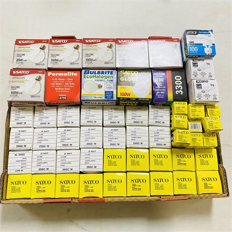 Box of New Light Bulbs