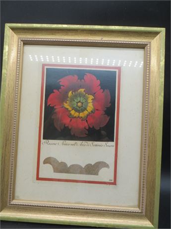 Hand Colored Engraving Titled "Rosone Antico Nell' It's Architectura