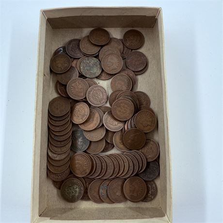 100 Unsearched Indian Head Pennies