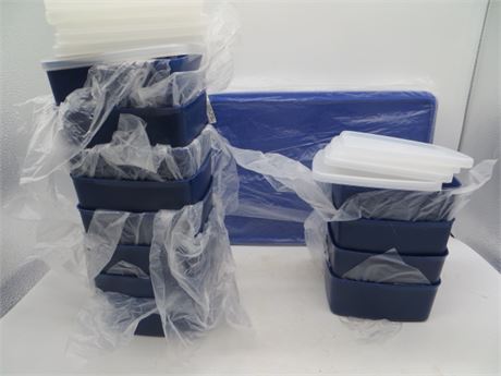 NEW VINTAGE TUPPERWARE COLD CUT KEEPER & 12 SQUARE CONTAINERS