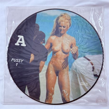 Madonna Erotica #2 Picture Disc Vinyl Record