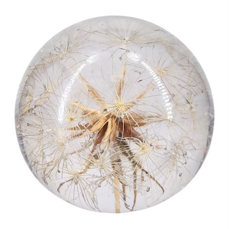 Vintage 1991 HAFOD GRANGE Clear Resin Dandelion Paperweight